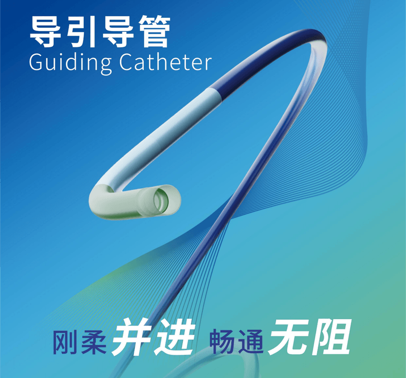 ExGuiding导引导管